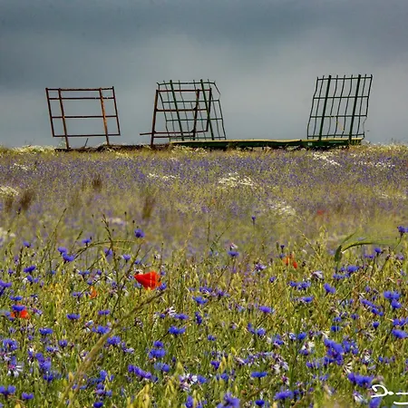 Au Balcon De La Gaume *