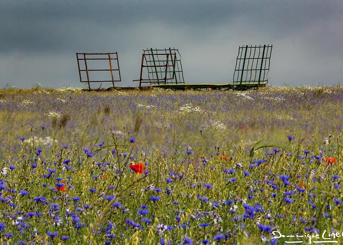 Au Balcon De La Gaume *
