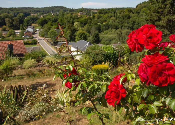 Au Balcon De La Gaume * Meix-devant-Virton